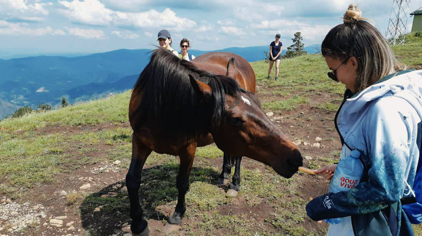 Izleti najpovoljniji aranžmani i cene za 2024/2025 Jungle Tribe